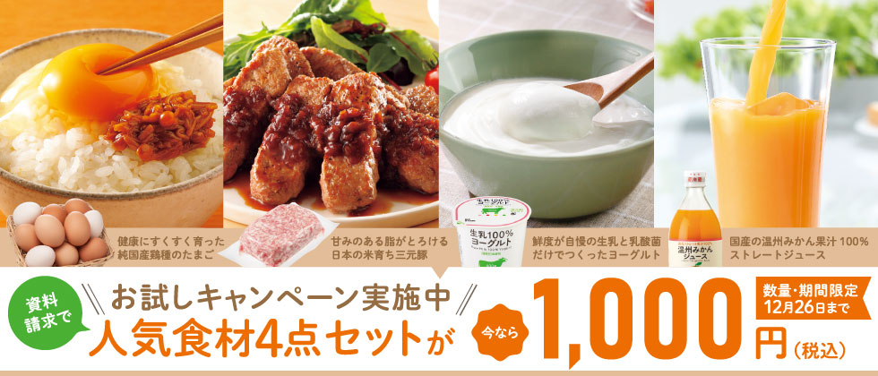 お試しキャンペーン実施中　資料請求で人気食材4点お試しセットが1000円